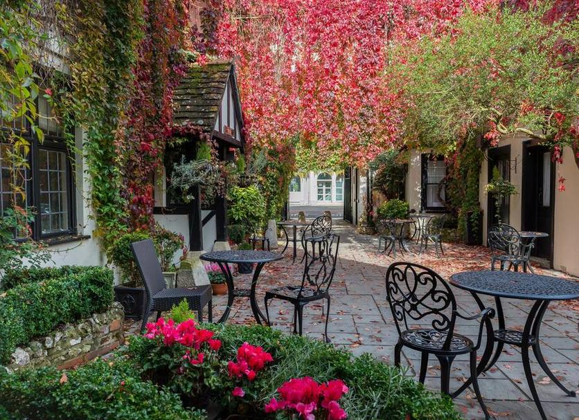Patio Zdjęcie