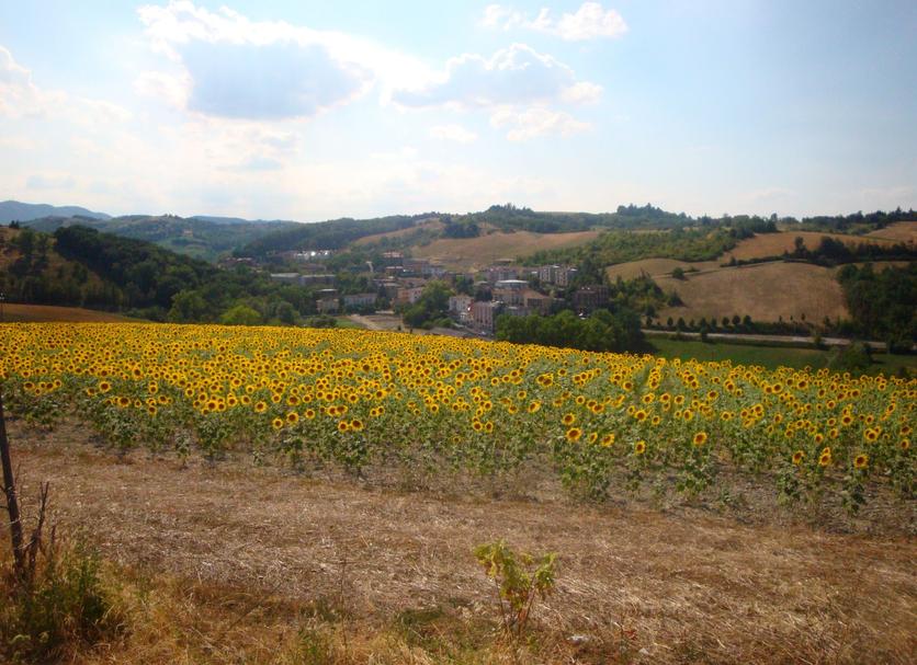 Widok na zewnątrz Zdjęcie