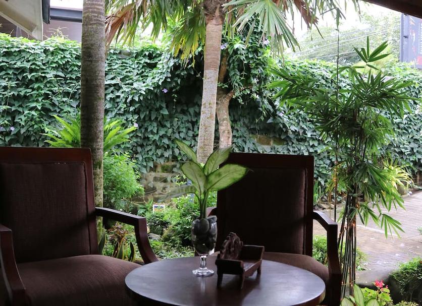 Patio Zdjęcie