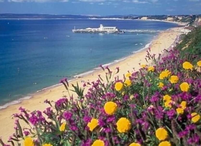 Plaża Zdjęcie