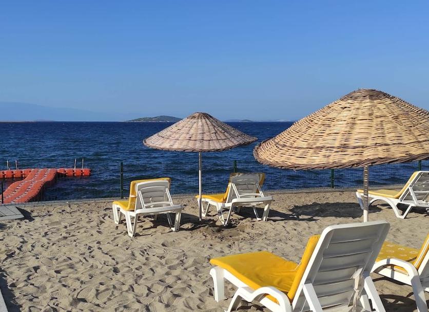 Plaża Zdjęcie