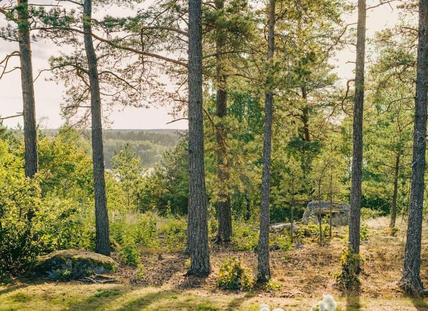 Widok na zewnątrz Zdjęcie