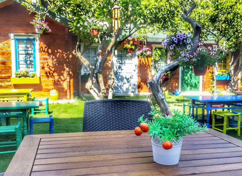 Patio Zdjęcie