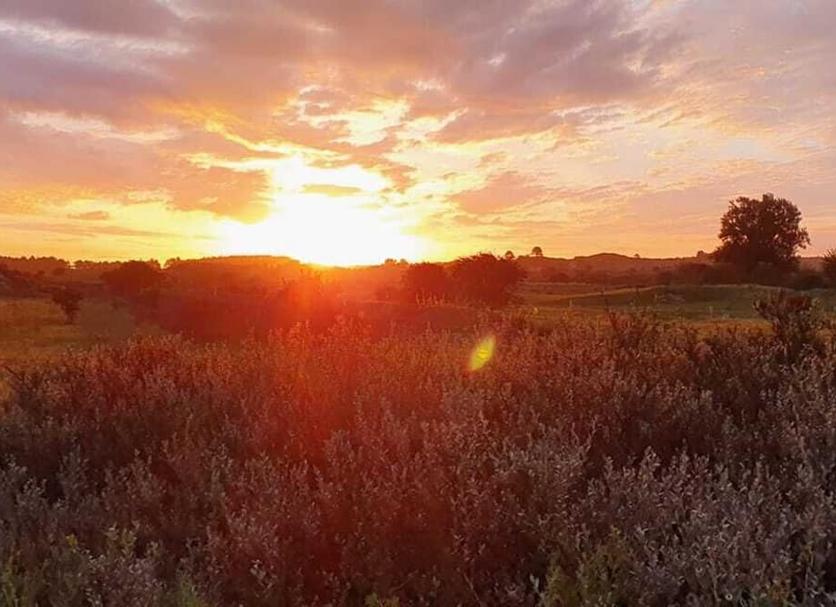 Widok na zewnątrz Zdjęcie