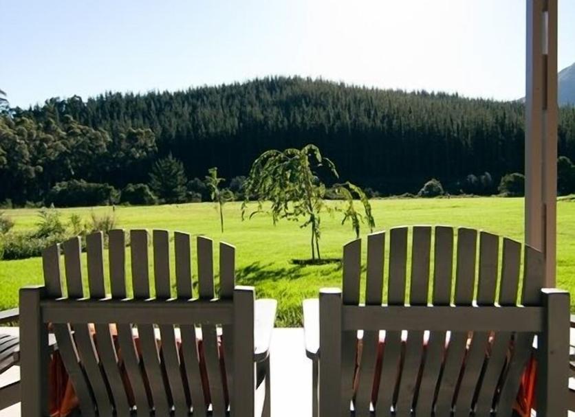 Patio Zdjęcie