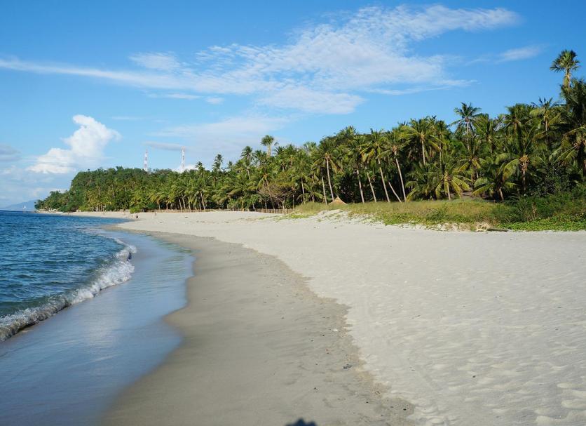 Plaża Zdjęcie