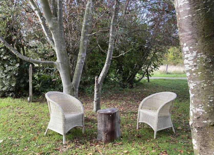 Patio Zdjęcie