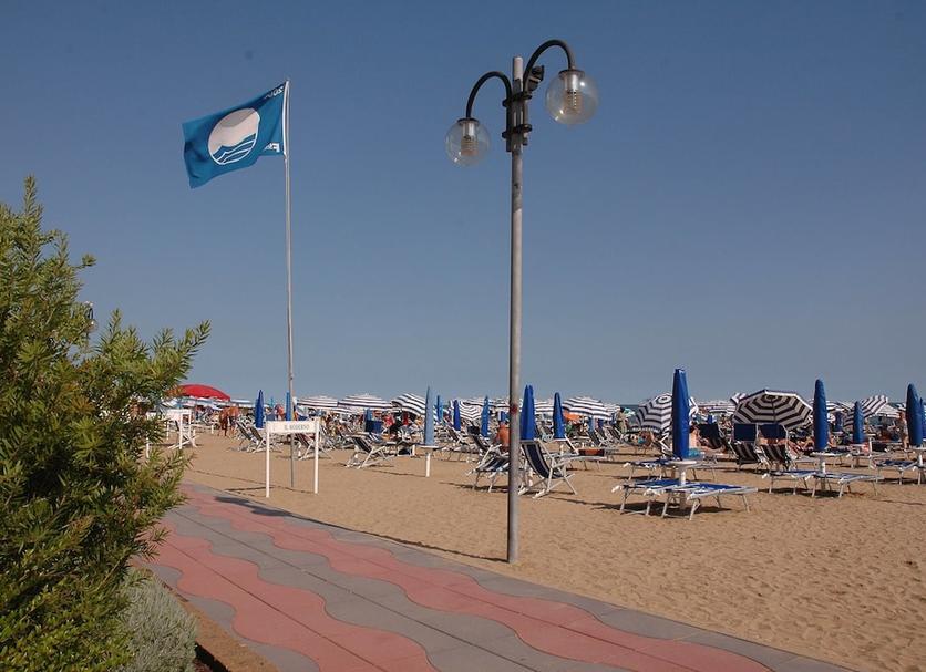 Plaża Zdjęcie