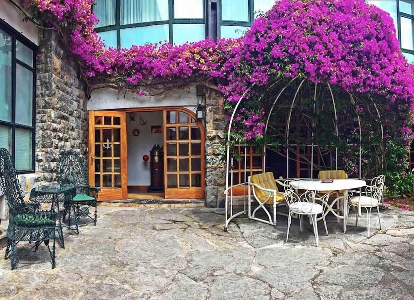Patio Zdjęcie