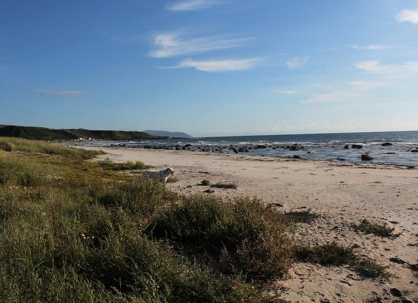 Plaża Zdjęcie