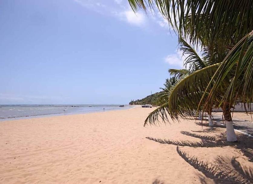 Plaża Zdjęcie