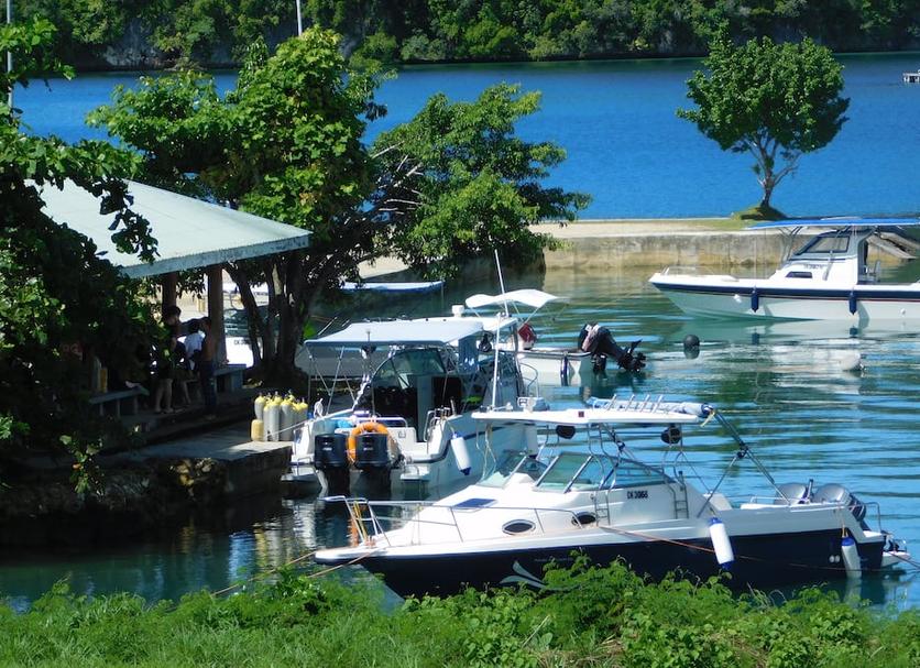 Plaża Zdjęcie