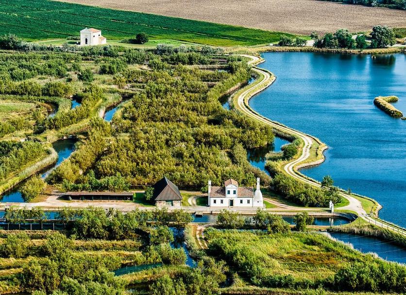 inna Zdjęcie