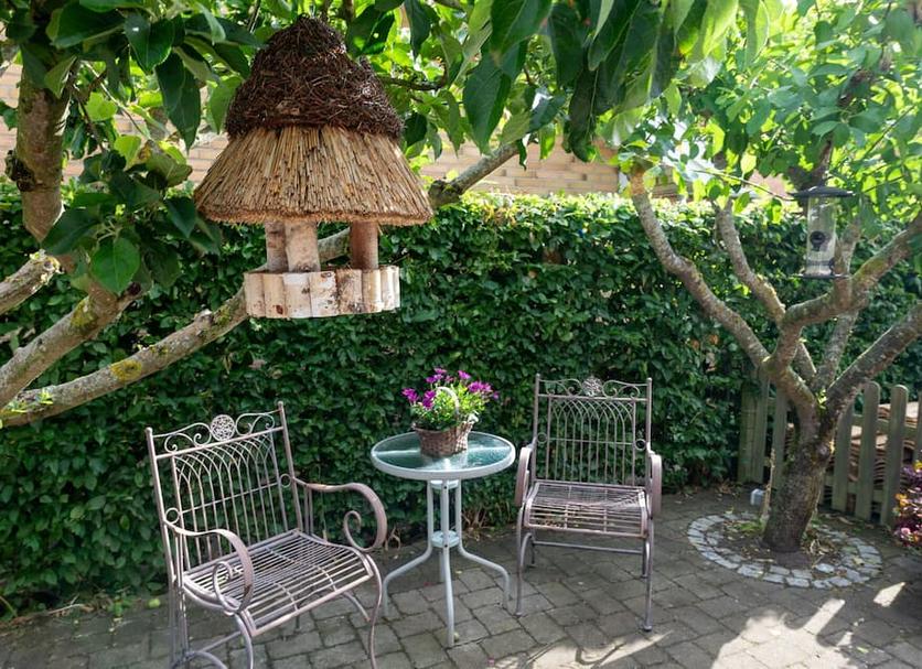 Patio Zdjęcie