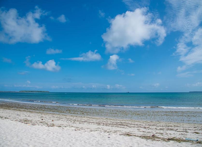 Plaża Zdjęcie