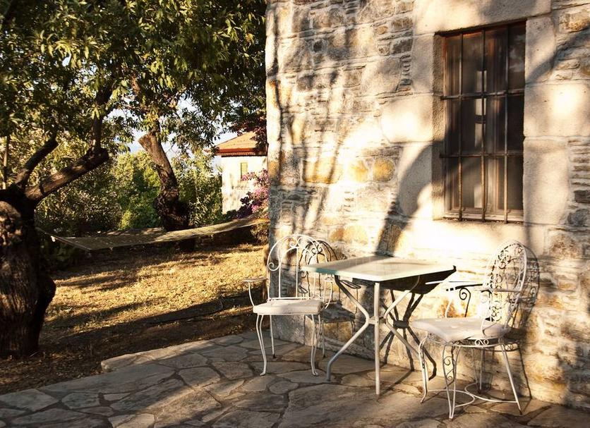 Patio Zdjęcie