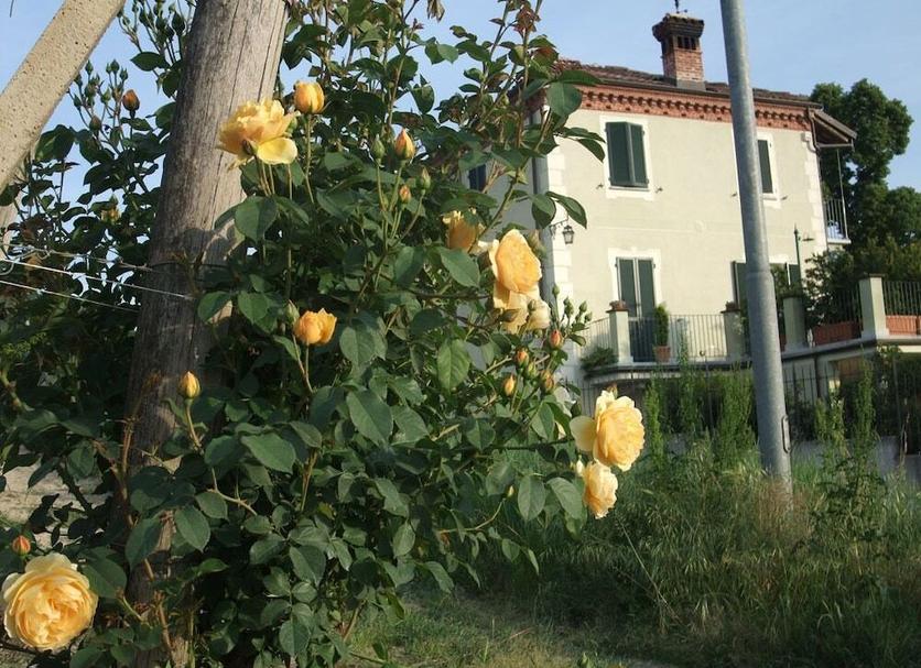 Widok na zewnątrz Zdjęcie