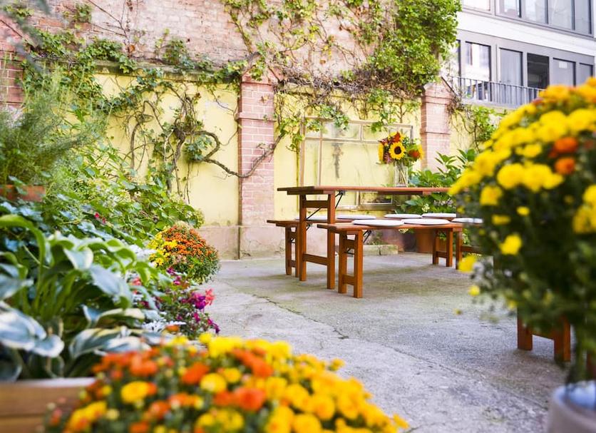 Patio Zdjęcie