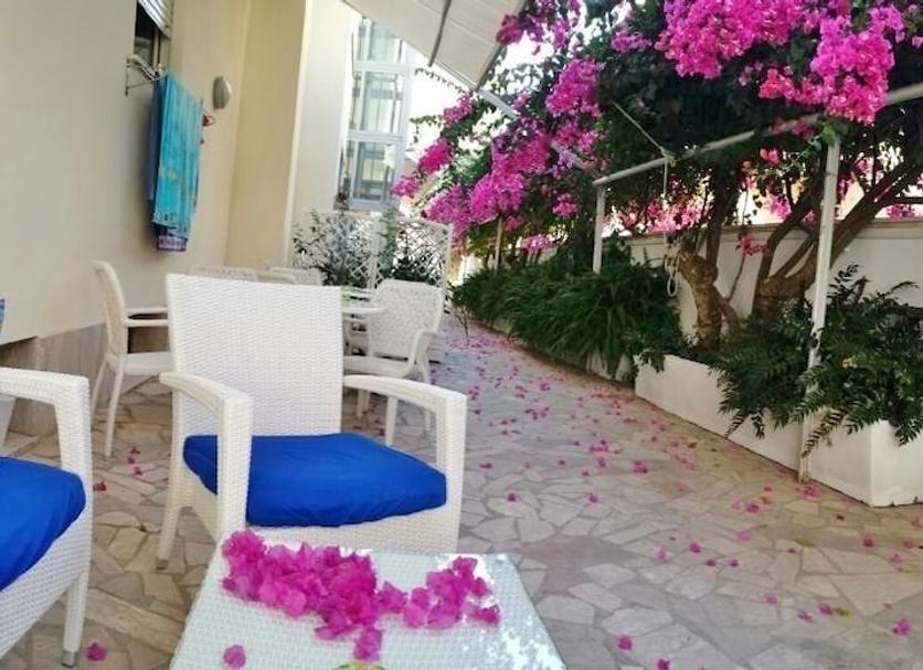 Patio Zdjęcie
