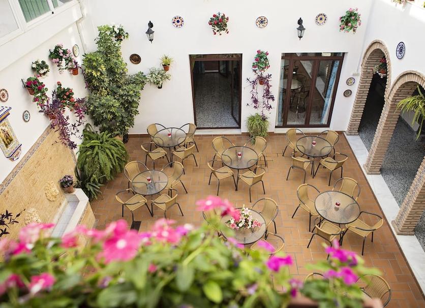 Patio Zdjęcie