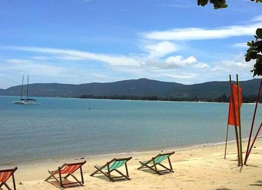 Plaża Zdjęcie