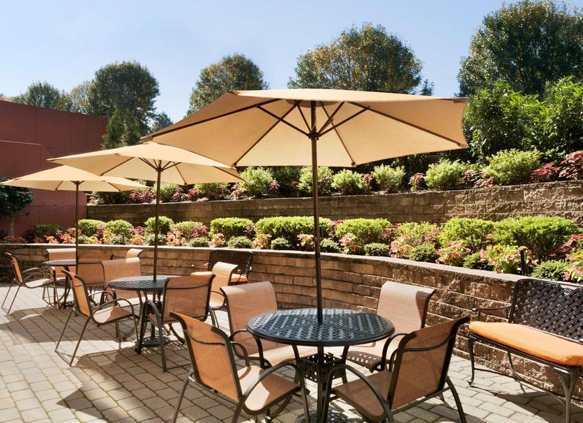 Patio Zdjęcie