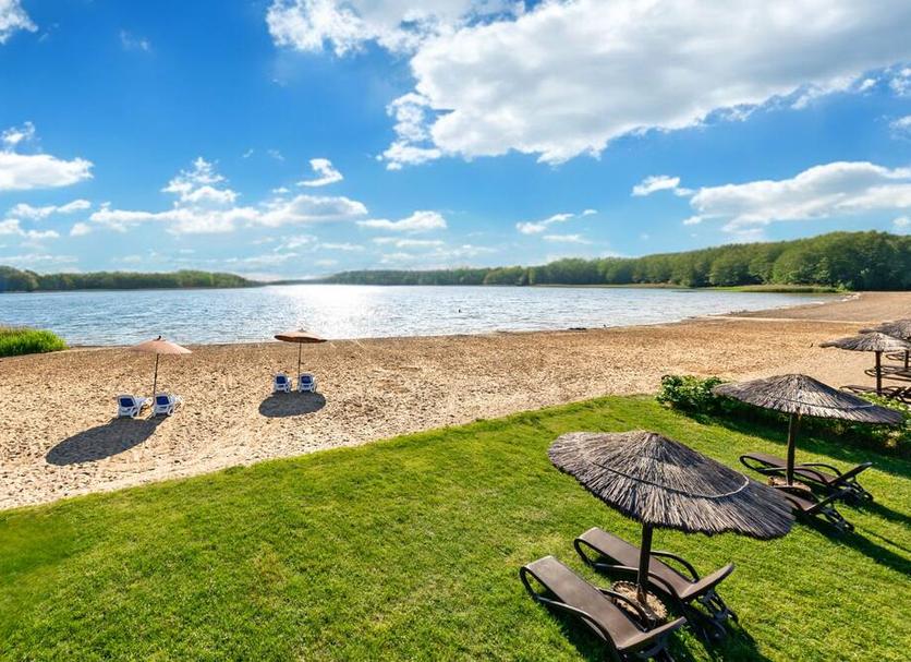 Plaża Zdjęcie