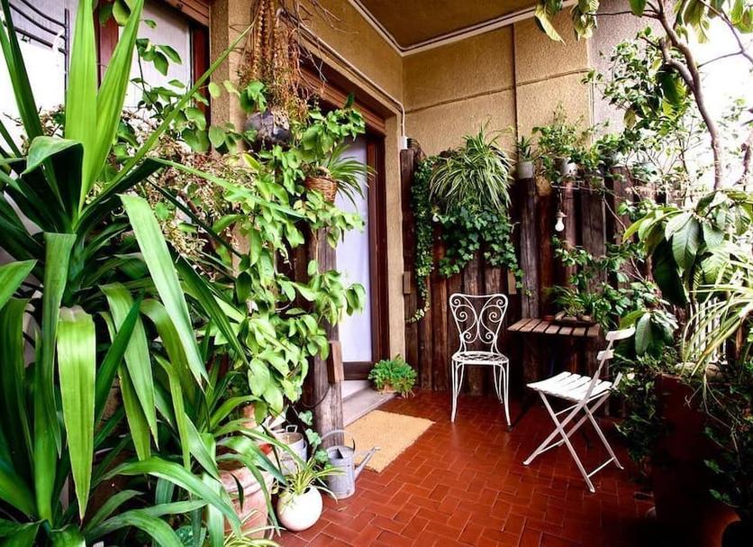Patio Zdjęcie