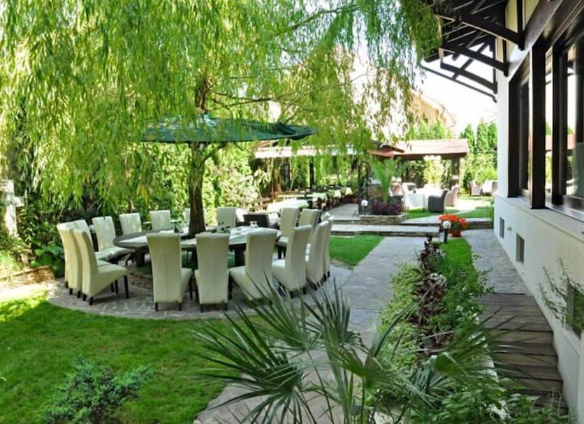 Patio Zdjęcie