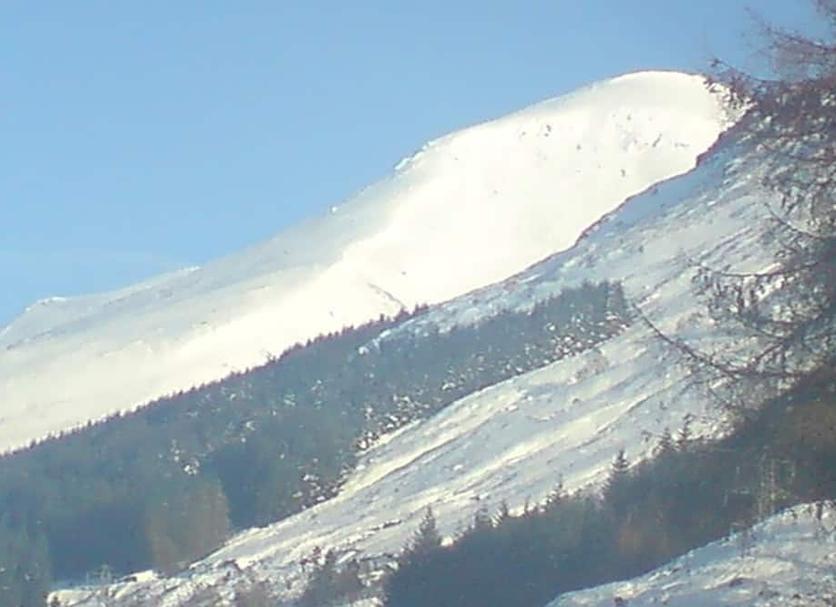 inna Zdjęcie