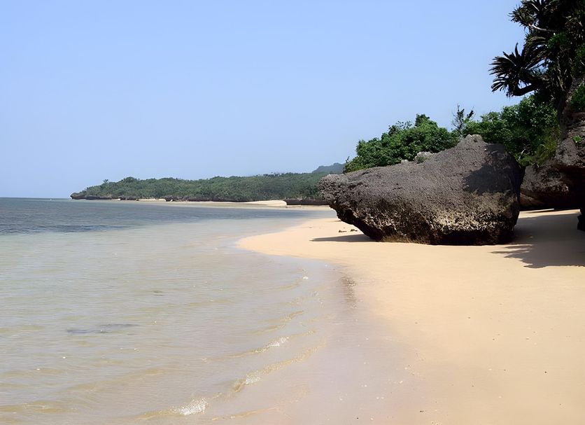 Plaża Zdjęcie