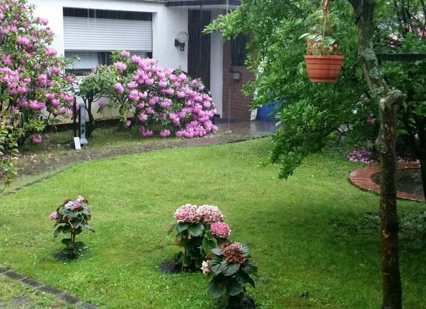 Widok na zewnątrz Zdjęcie