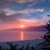 Inne