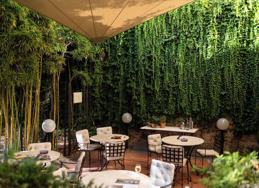 Patio Zdjęcie