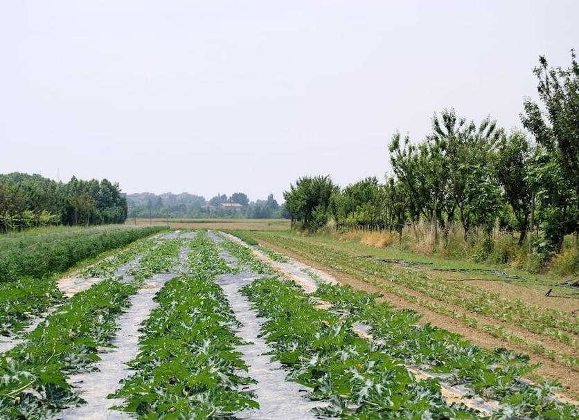Widok na zewnątrz Zdjęcie