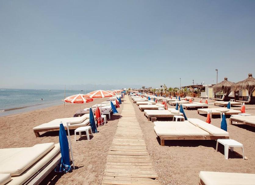 Plaża Zdjęcie