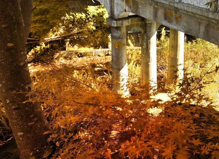 Widok na zewnątrz Zdjęcie