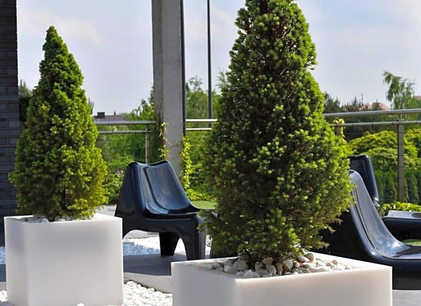 Patio Zdjęcie