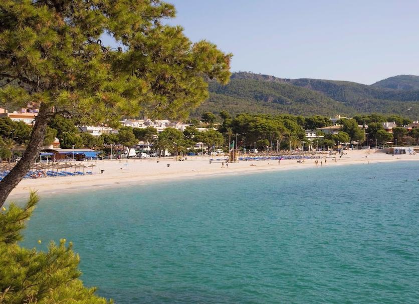 Plaża Zdjęcie