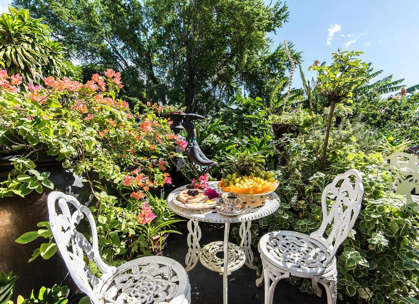 Patio Zdjęcie