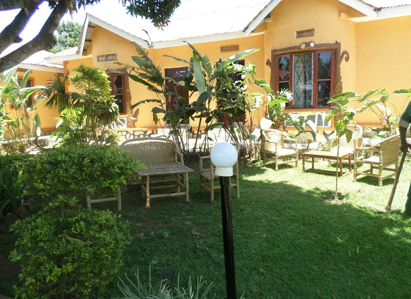 Patio Zdjęcie