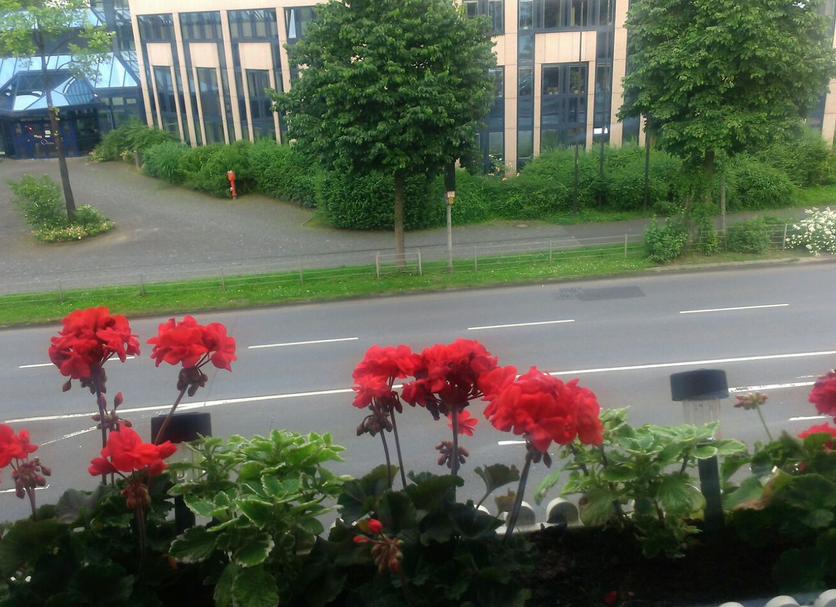 Widok na zewnątrz Zdjęcie