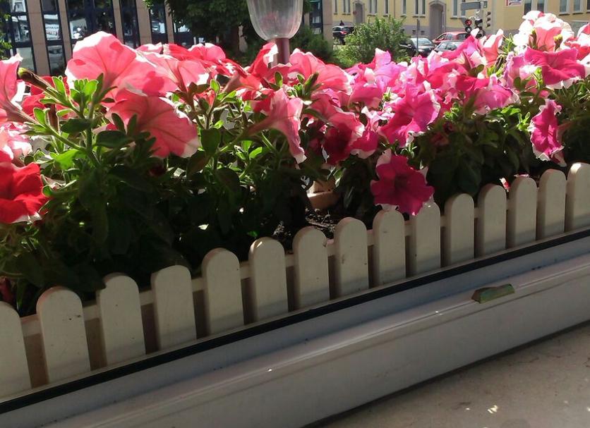 Balkon Zdjęcie