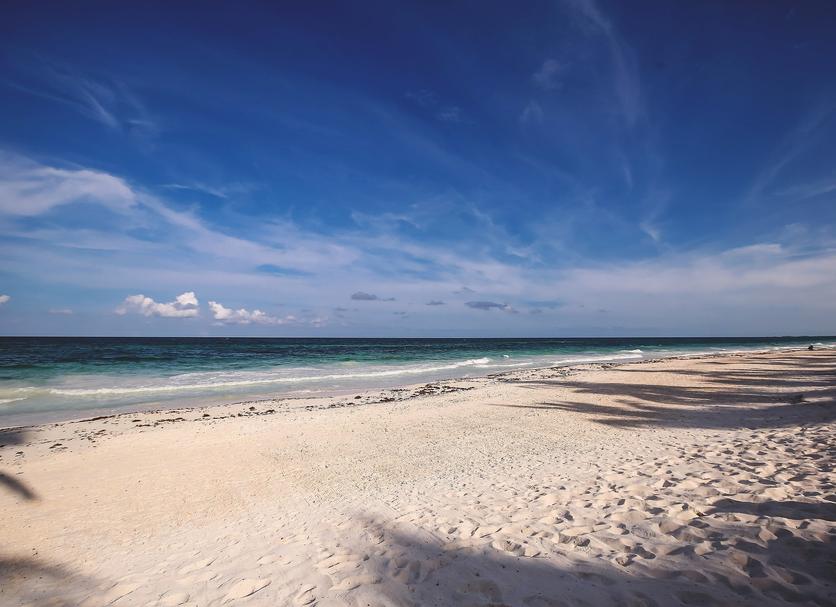Plaża Zdjęcie