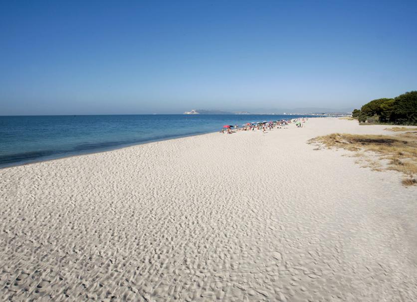 Plaża Zdjęcie