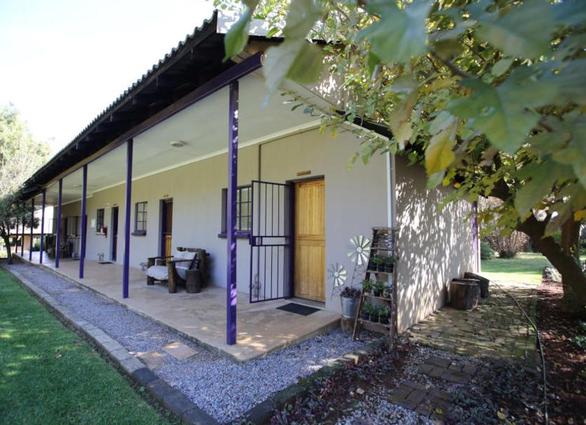 Patio Zdjęcie