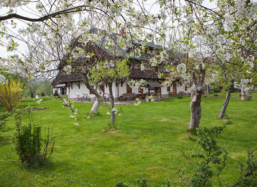 Widok na zewnątrz Zdjęcie