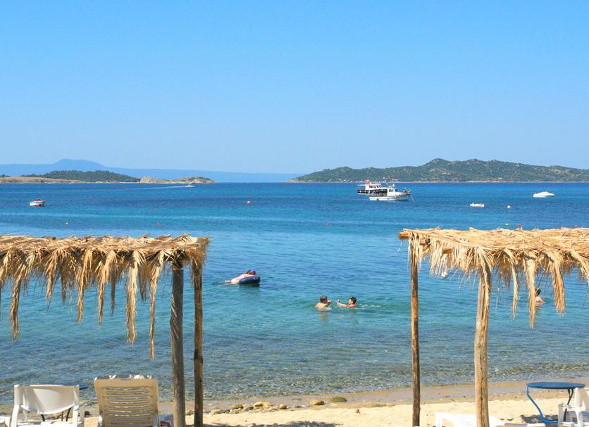 Plaża Zdjęcie