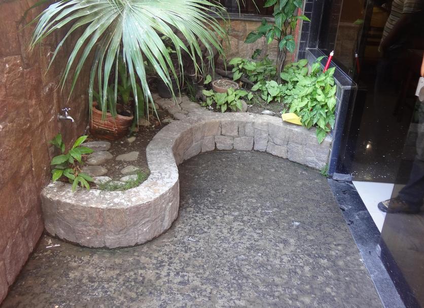 Patio Zdjęcie