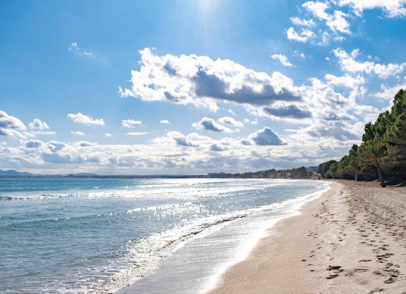 Plaża Zdjęcie